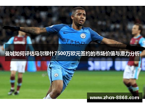 曼城如何评估马尔穆什7500万欧元签约的市场价值与潜力分析